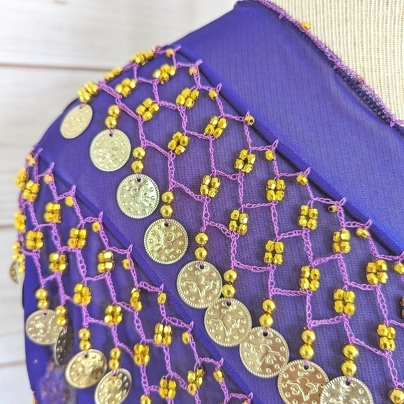 Chiffon Beaded Three Row Coin Festival Belt Scarf Wrap in Purple and Gold - Picture 2 of 14